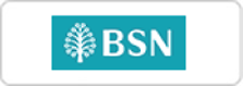 BSN Online